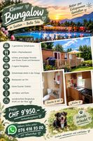 Ferienparadis auf dem Camping Bella Tola  im VS
