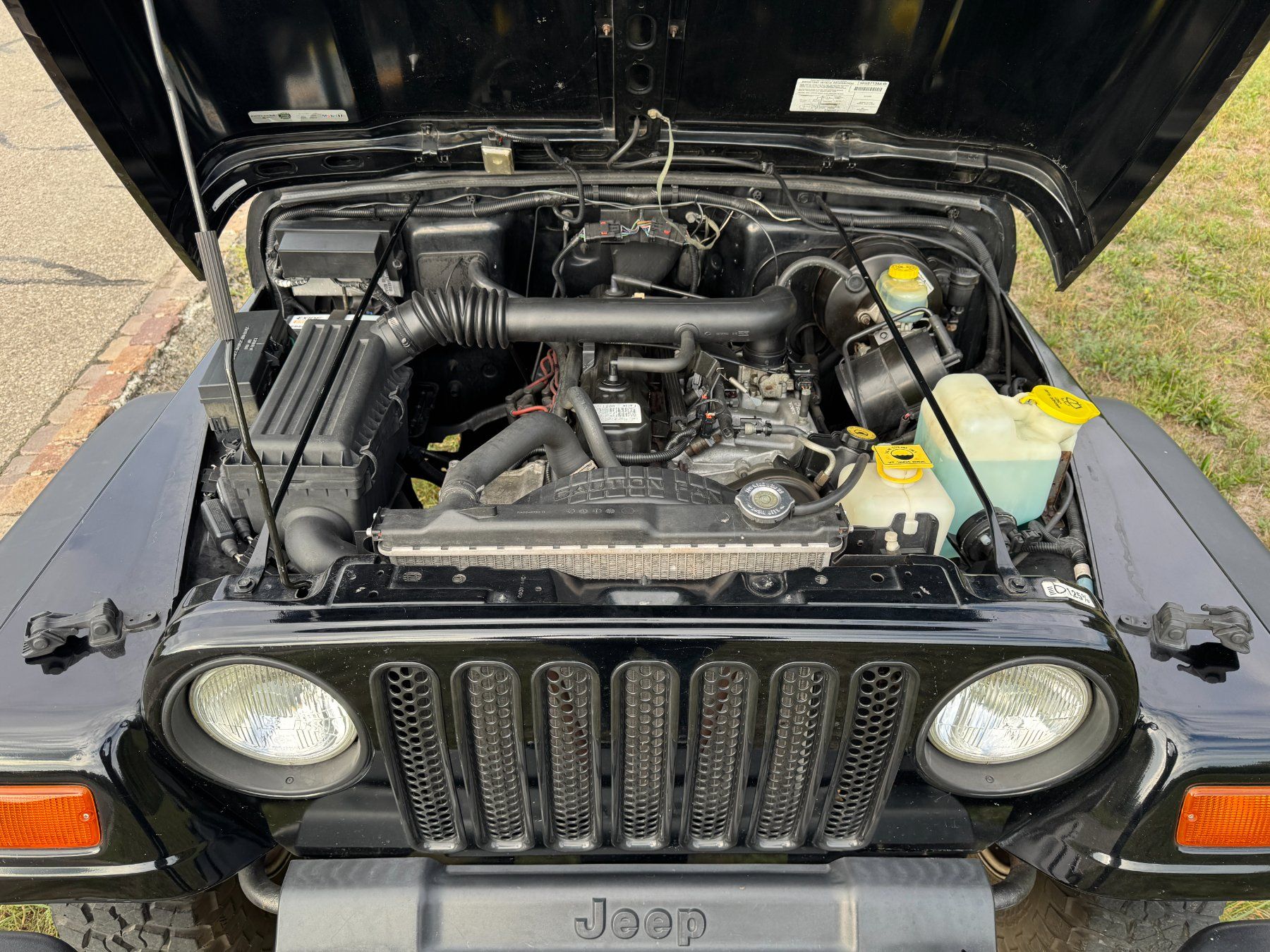 Jeep Automobili: Jeep Wrangler TJ – Usato da Bergdietikon venduto da Cummins 5