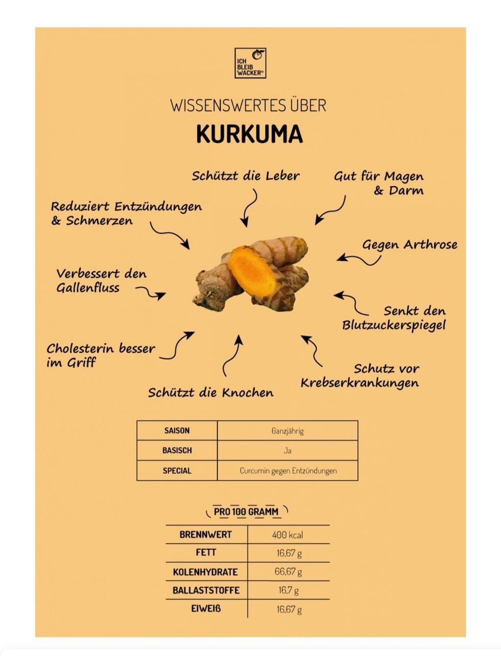 Piante & sementi: Kurkuma Pflanze  – Usato da Biberist venduto da Giveme 2