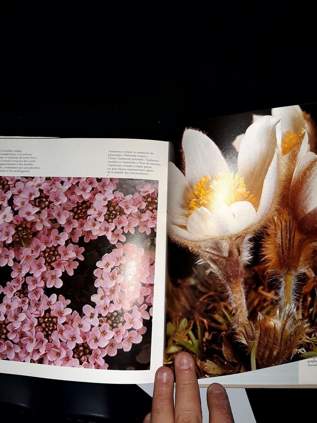 Libri: Cette nature qui nous entoure – Usato da Le locle venduto da juliensaran 3