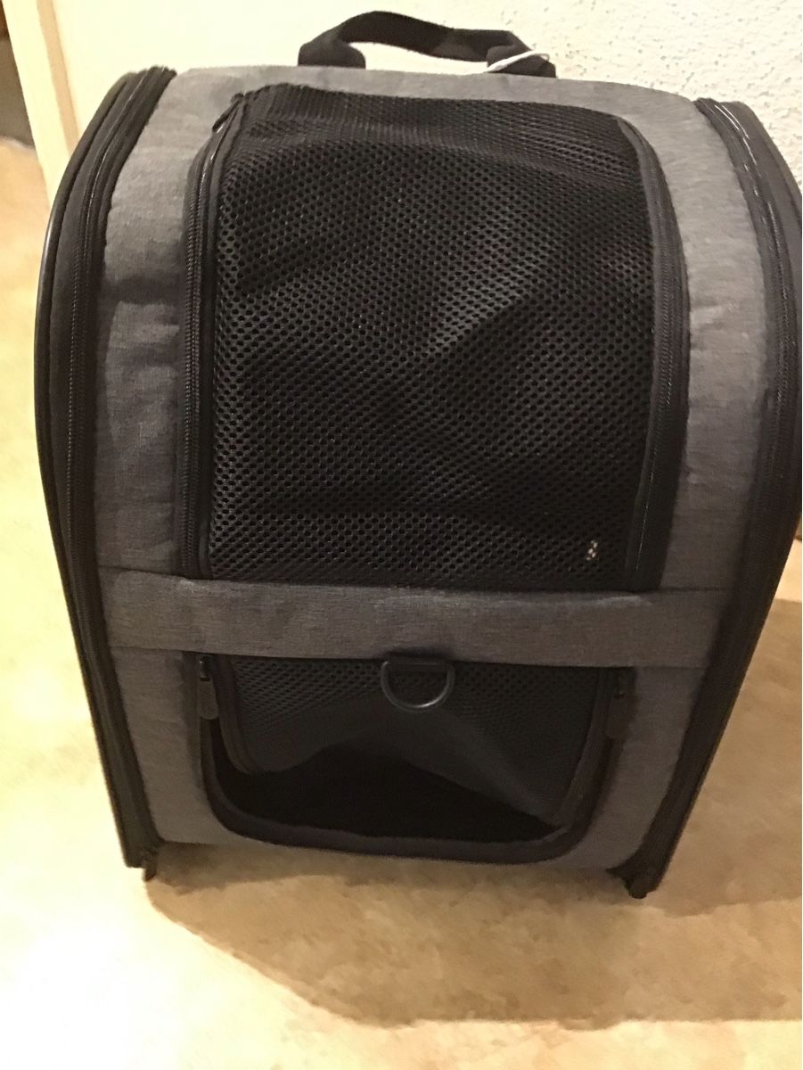 Zaini: Apollo Walker Haustierrucksack – Nuovo (secondo la descrizione) da Bülach venduto da gio_j9hl 4