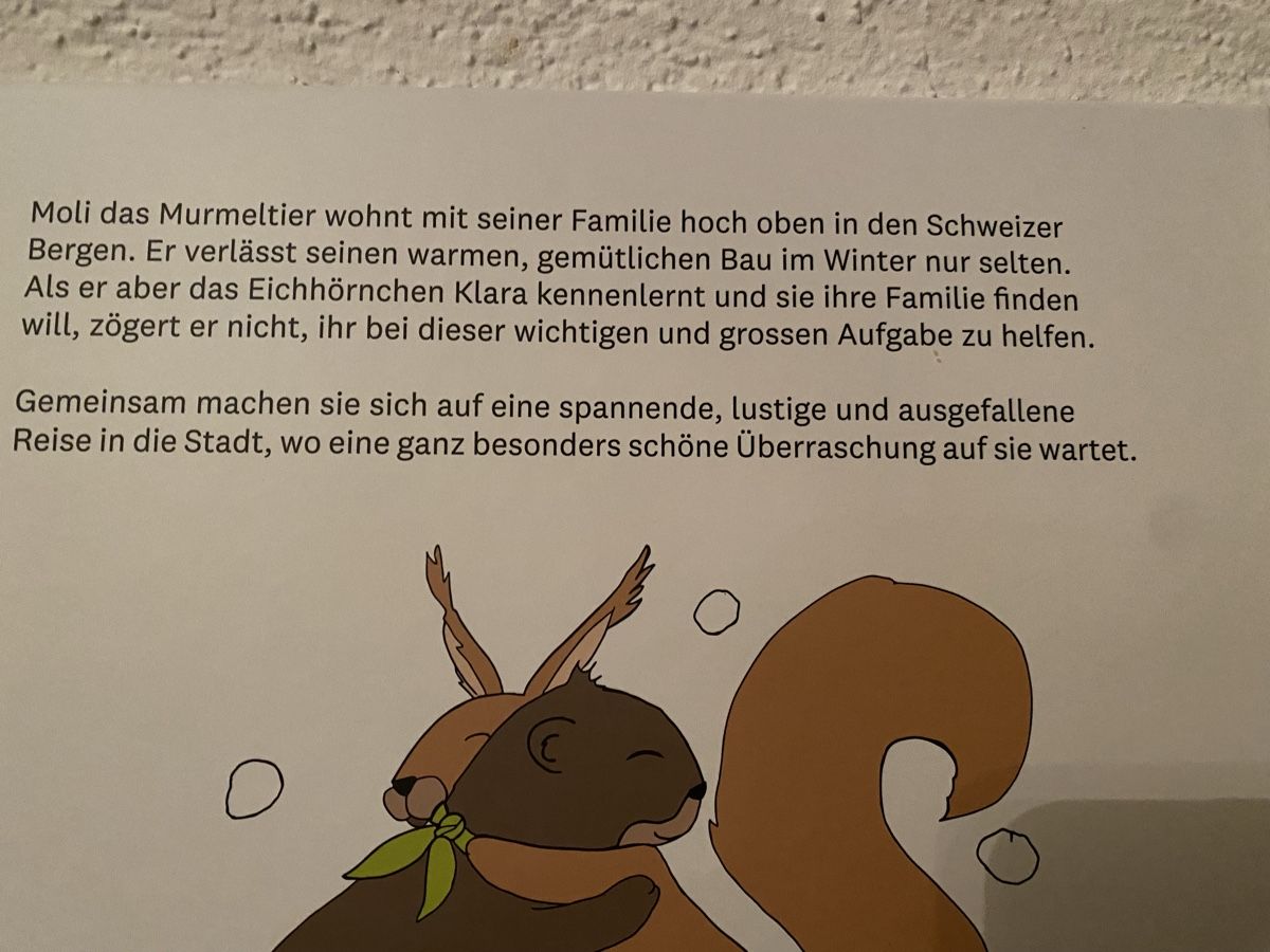 Bücher: Moli & Klara Kinderbuch Jelmoli – Neu und originalverpackt aus Galgenen von Testus 3
