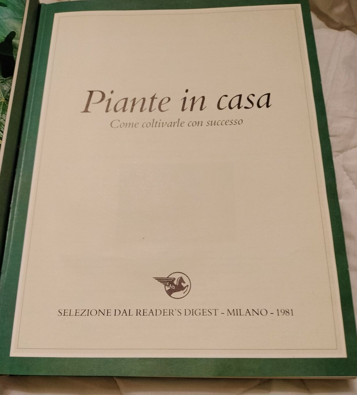 Libri: Piante in casa – Usato da Capolago venduto da sco_7ywt 1
