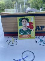 Panini Sticker mex 12 Marcel Ruiz Mexiko 