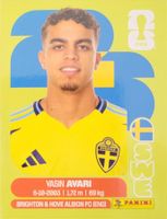 Panini FIFA World Cup SWE 11