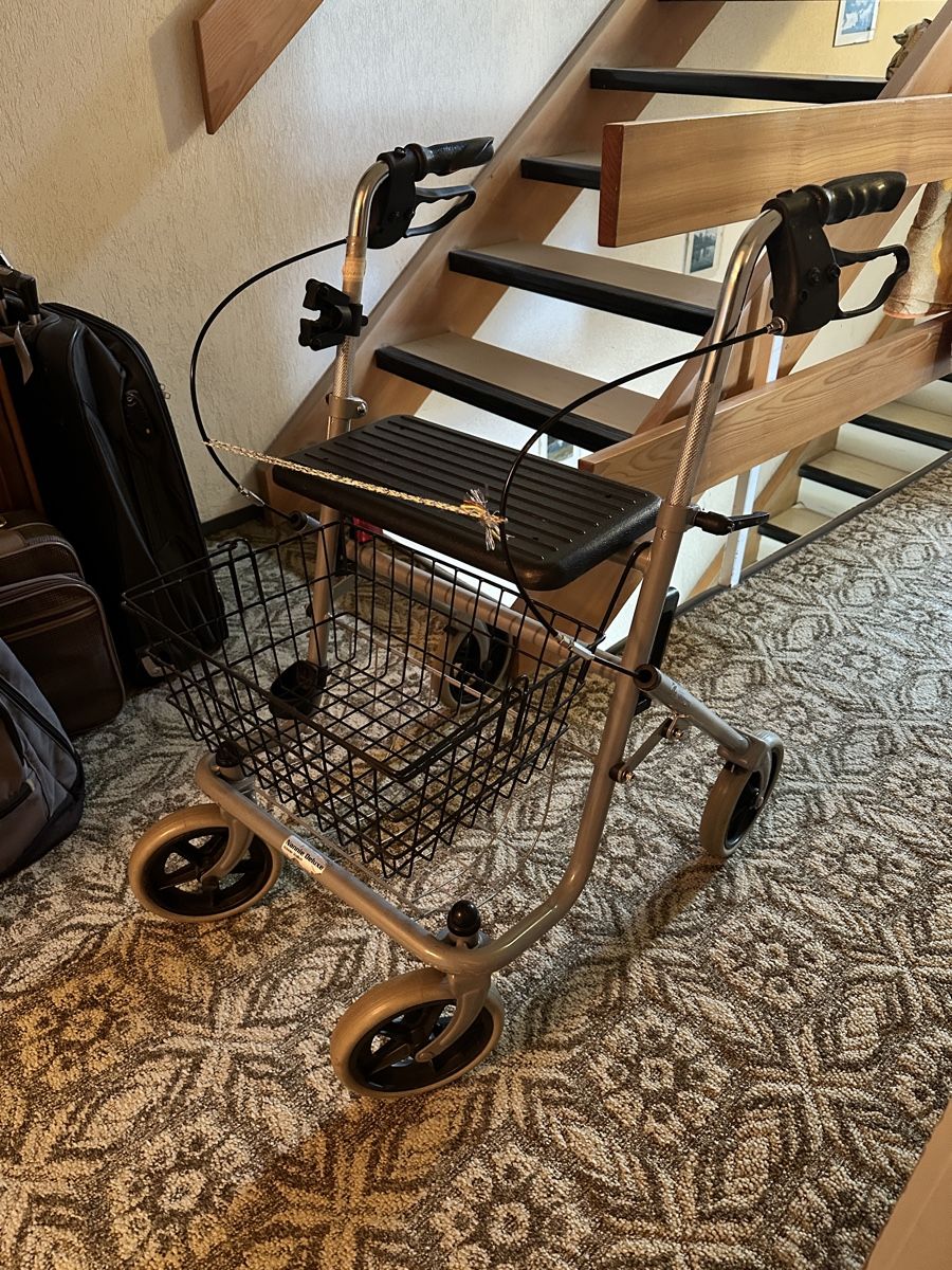 Aides à la marche: Gehhilfe Rollator mit Korb und Sitz klappbar – D'occasion à Grüningen par DomegaStore