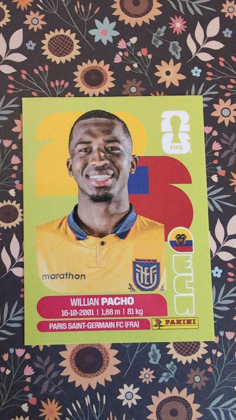Panini Cartes à collectionner: ECU 6 - PANINI - FIFA WM 2026 – Neuf (Voir description) à Bauma par tobiaskl
