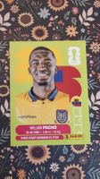 ECU 6 - PANINI - FIFA WM 2026