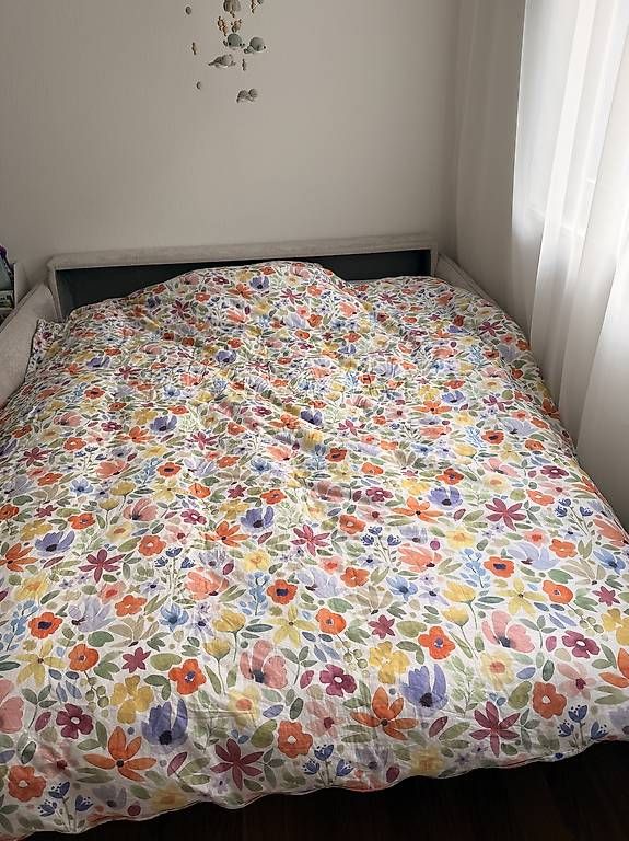 Livique Divani: Bettsofa mit Lattenrost – Usato da Chur venduto da hau_y85g 2