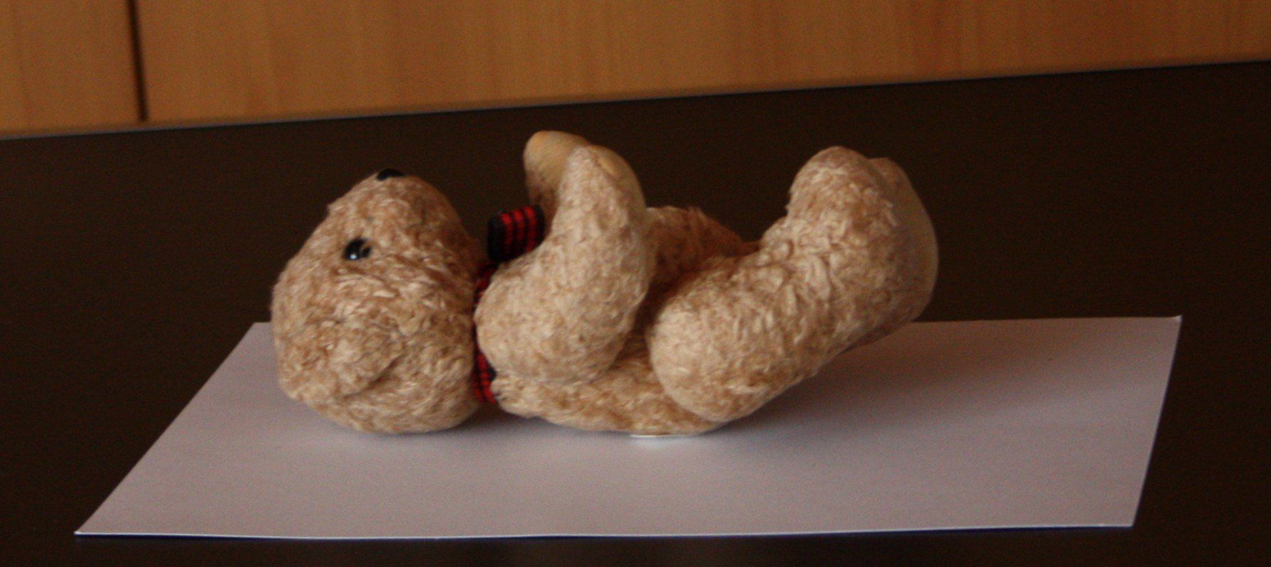 Giocattoli: Teddybär Bär  klein  Gliedmassen beweglich – Usato da Flüelen venduto da Diversicum-Shop 4