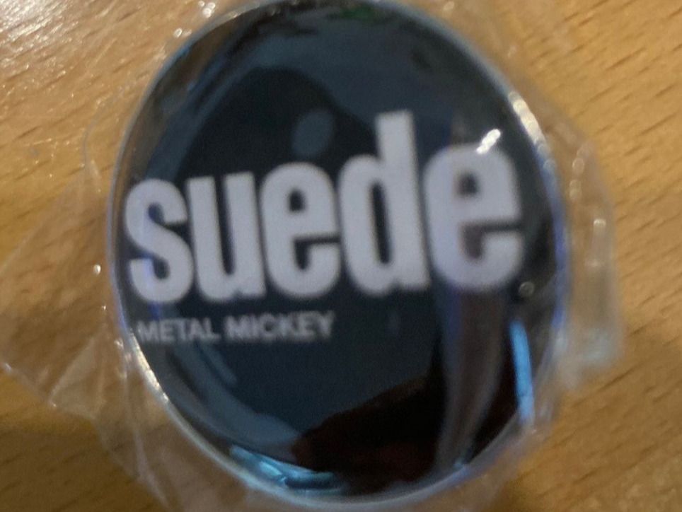 Broschen & Nadeln: Suede Pin Anstecker Rock Punk Metal Pop – Neu (gemäss Beschreibung) aus Horn von abutre72
