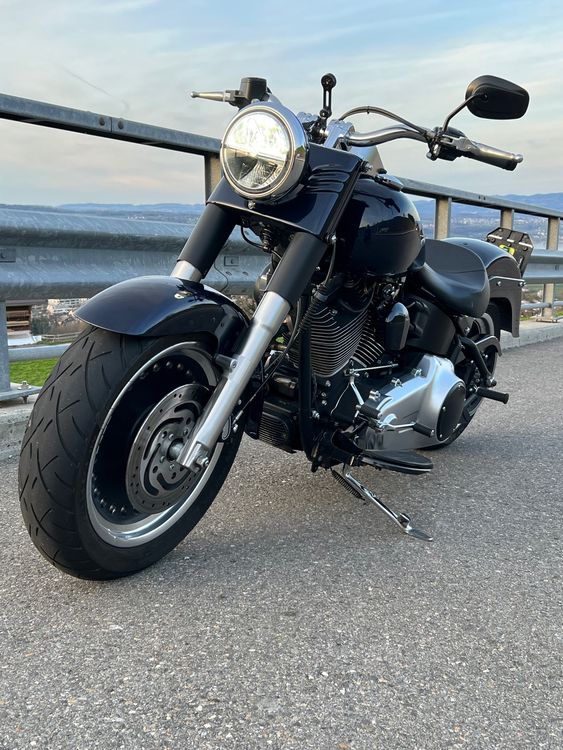 LDUTIU Hinterradschutzblech Für Harley Fat Boy - Stylische Abdeckung 2010-2017