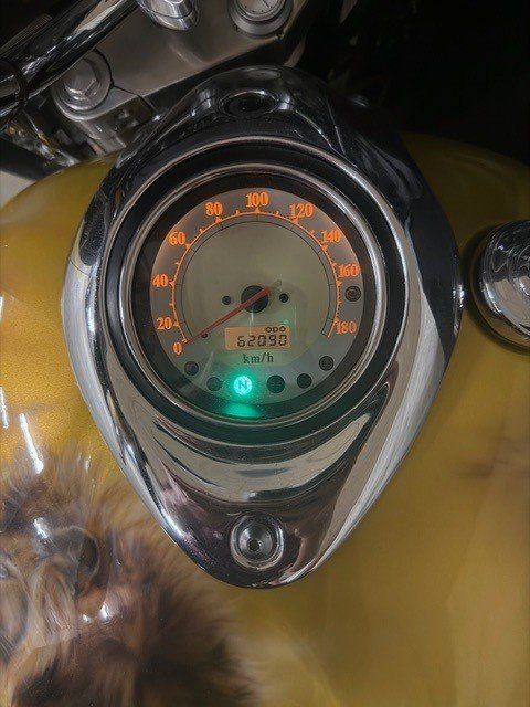 Yamaha Chopper: Yamaha Royal Star XVZ 1300A, Löwendesign – Usato da Heimberg venduto da Skicross86 9