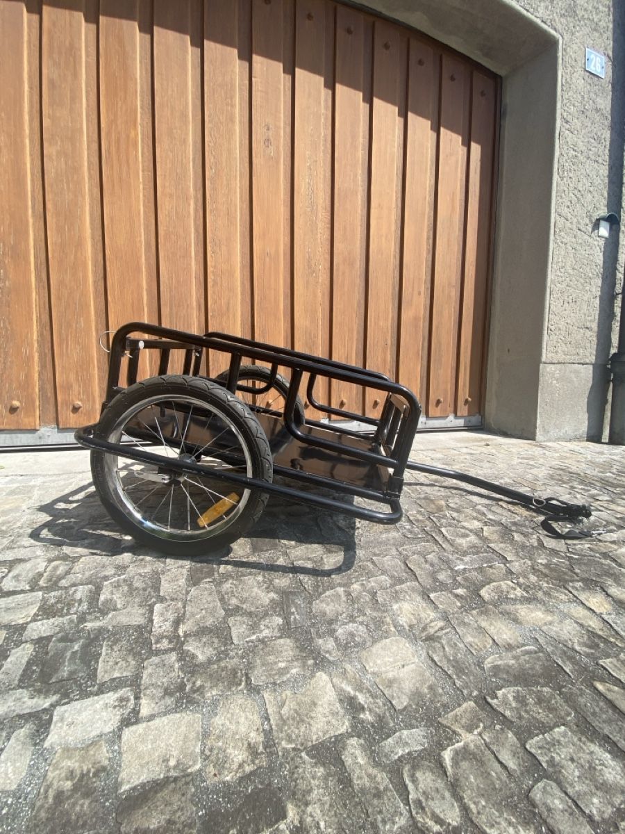 Rimorchi:  Veloanhäanger – Usato da Jona venduto da outoftheblue 2