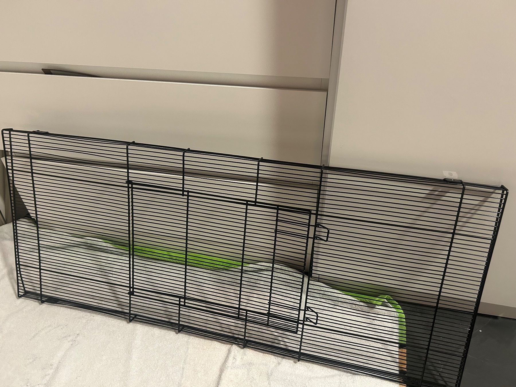 Terrario: Terrarium für Zwerghamster oder Mäuse – Usato da Flüh venduto da pri_nl9g 1