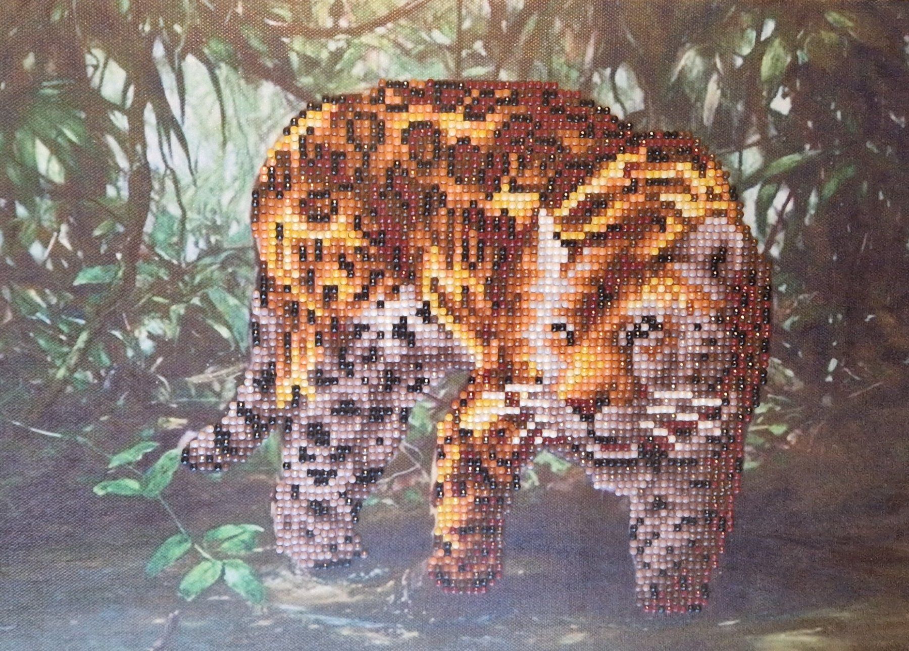 Foto & Immagini: Bild mit Tiger - Diamond Painting – Nuovo (secondo la descrizione) da Nänikon venduto da kriki