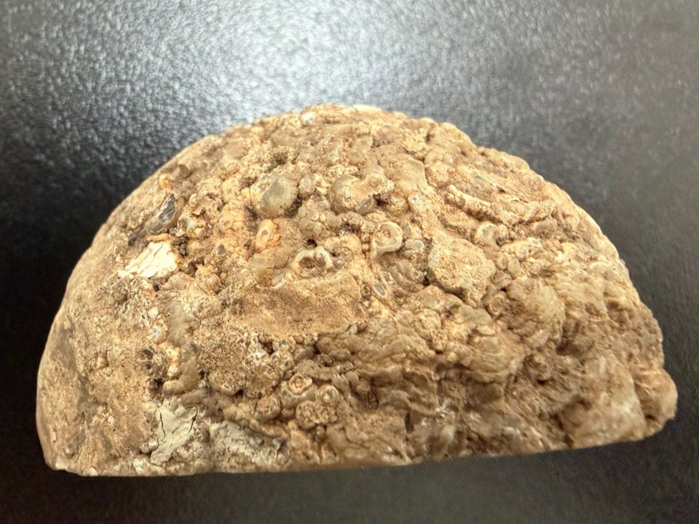 Mineralien & Heilsteine: Geode, Südafrika (2) – Neu (gemäss Beschreibung) aus Muri b. Bern von Gemmes 2