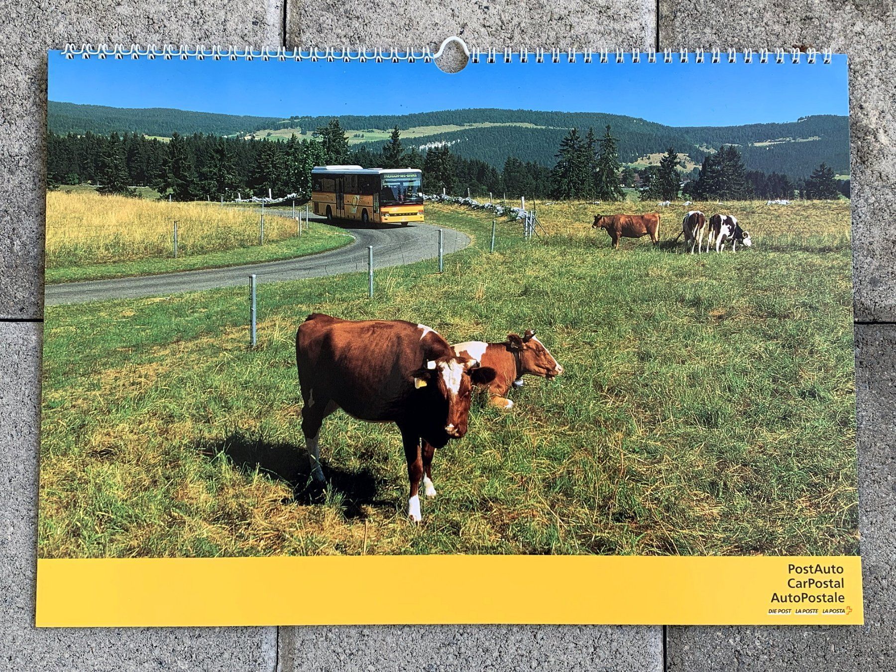 Calendari: Postauto Schweiz Kalender 2005 Wandkalender Format 30x42 – Nuovo (secondo la descrizione) da Bern venduto da AWiBe