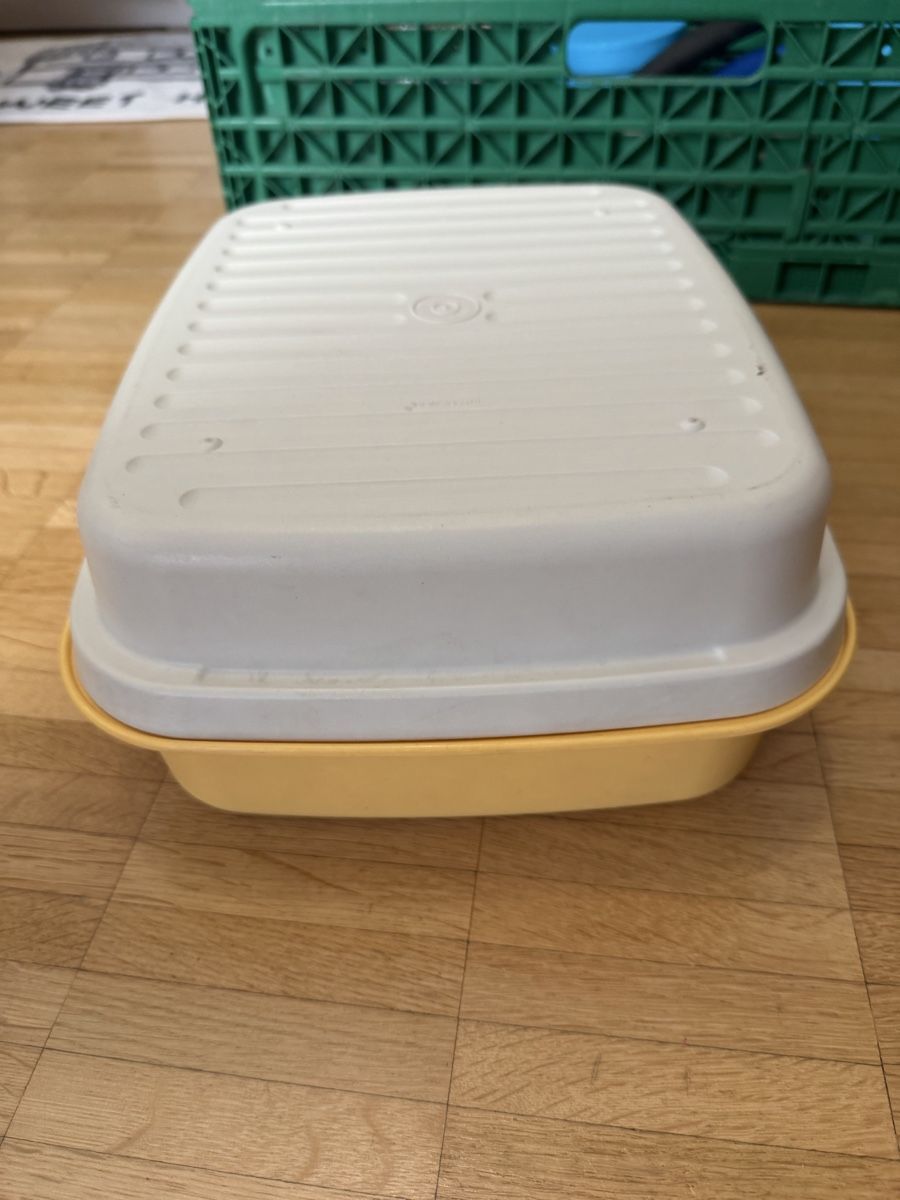 Contenitori & Simili: Contenitore Tupperware vintage - Ideale per picnic! – Usato da Viganello venduto da BlackPanda0003 1