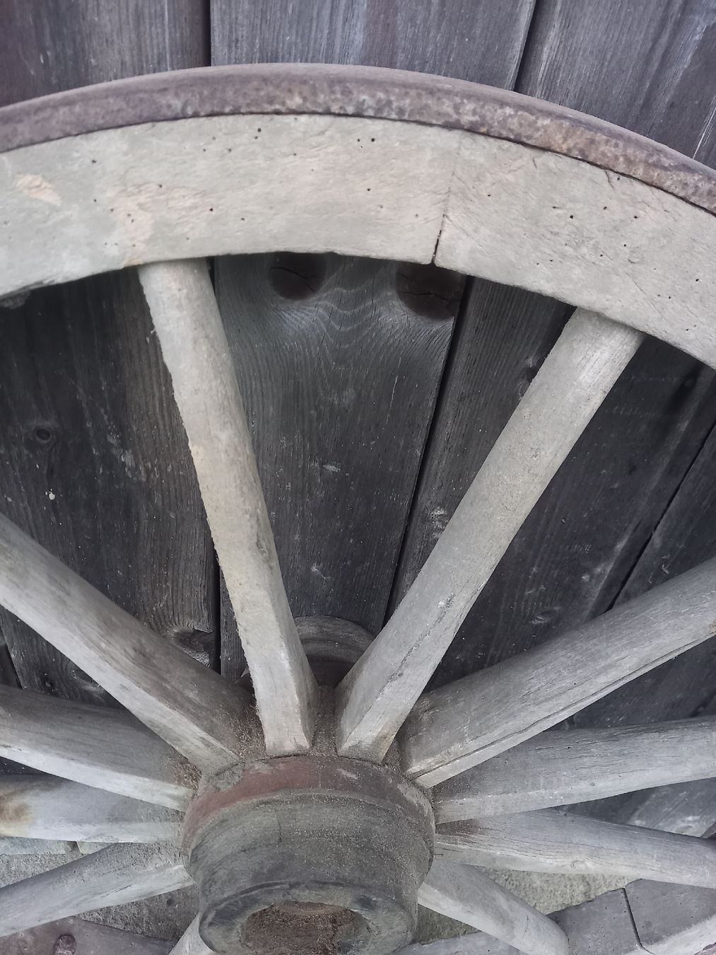 Pneumatici & Ruote complete: Antikes eisenbereiftes Wagenrad – Usato da Galgenen venduto da Allerlei8854 7