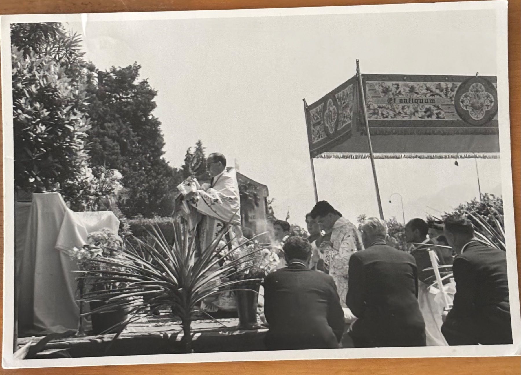 Cartoline postali: Foto Steinemann, Locarno, Prozession – Usato da Frauenfeld venduto da Merk52