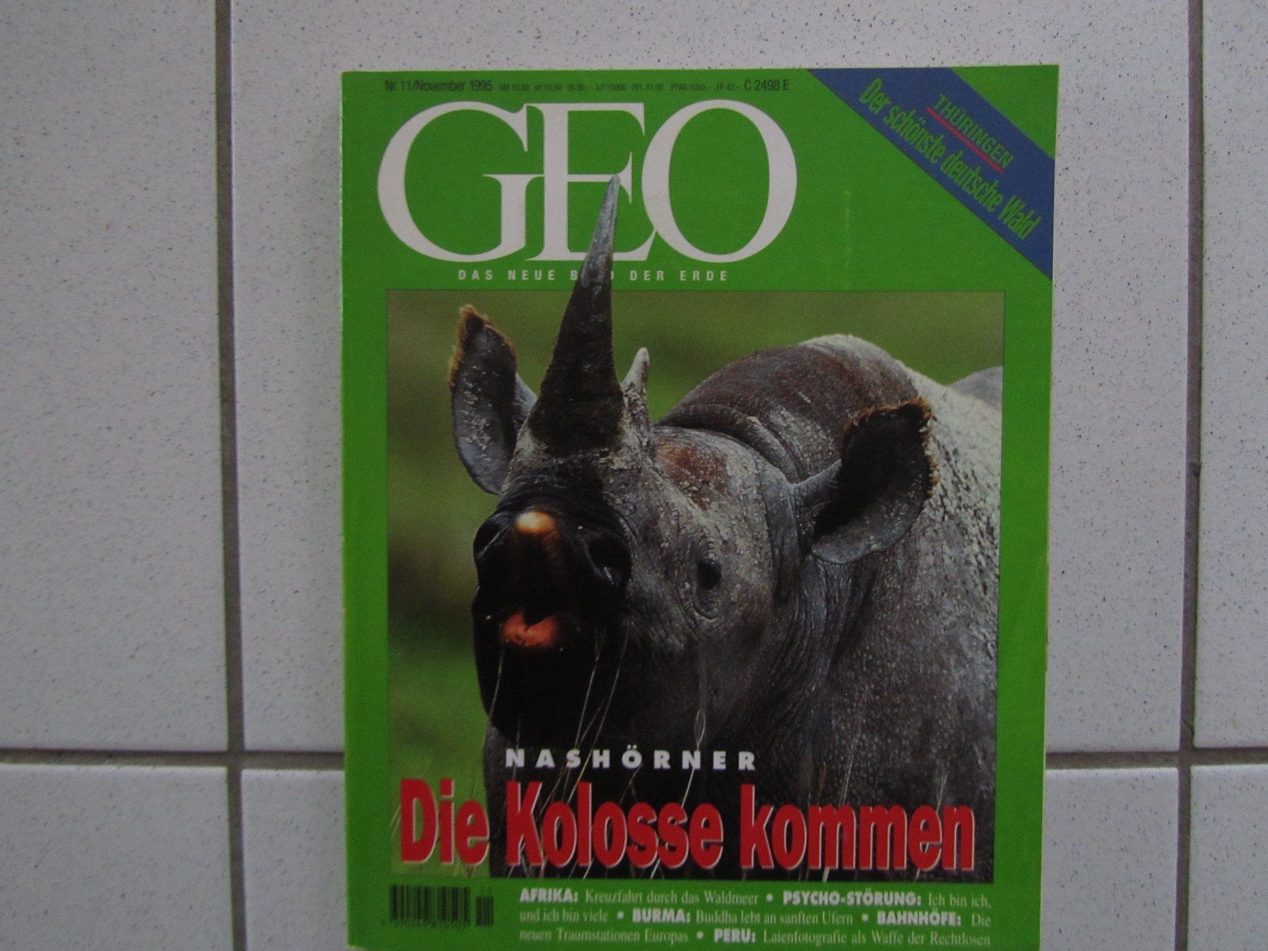 Riviste & Magazine: Geo, Nr. 11 vom November 1995 – Usato da Weiningen ZH venduto da dietsch57