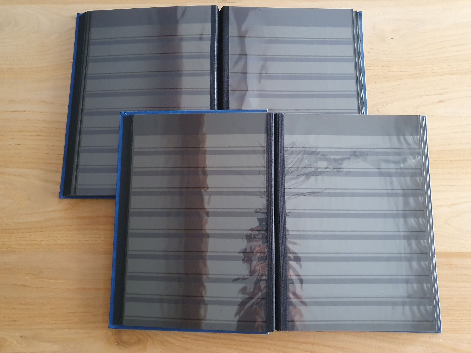 Album: 2 albums vides pour timbres – Usato da Courroux venduto da VincianeZ 2
