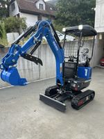 RIPPA Bagger 1 T (Euro 5) mit Kubota Motor Neu