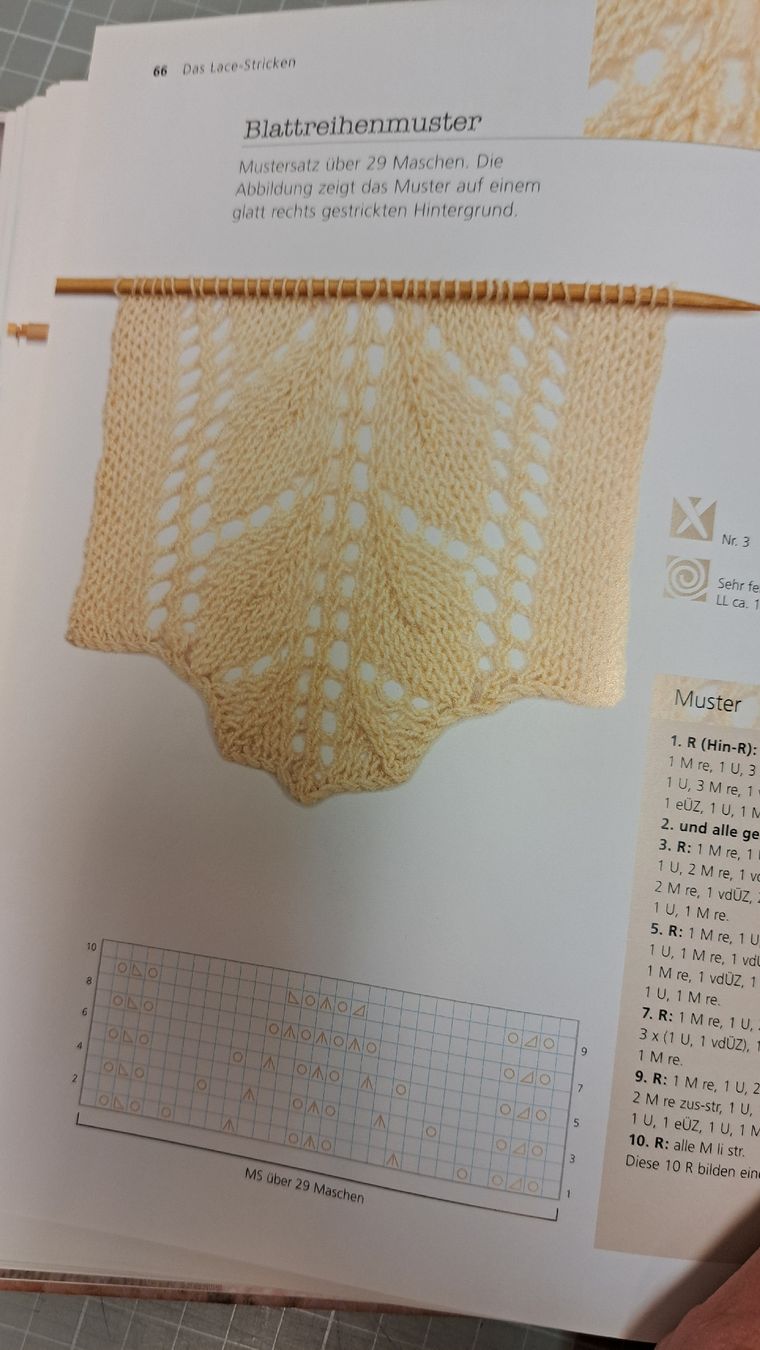 Libri: Buch Das grosse Buch des Lace Strickens – Usato da Zofingen venduto da Gabe0815 3