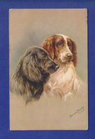 CHIEN / HUND - Jannie Moody // voir dos //