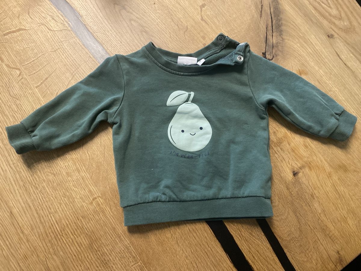 Name It Pullover & Sweatshirts: Pullover Name It basic needs gruen Motiv Birne Gr. 62 – Gebraucht aus Rupperswil von ang_v2m8