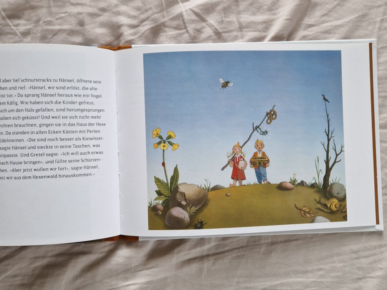 Libri: Buch "Hänsel und Gretel" – Nuovo (secondo la descrizione) da Däniken SO venduto da ali_z5pd 2