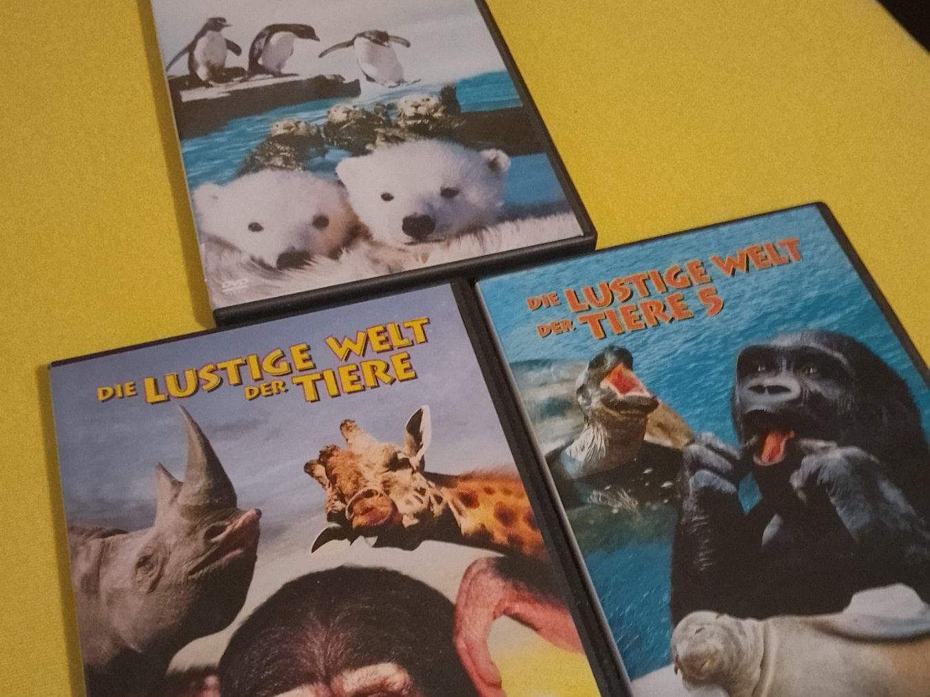 Tutti i DVDs: 3 DVD s, Lustige Welt der Tiere – Usato da Weinfelden venduto da PaterPio1968