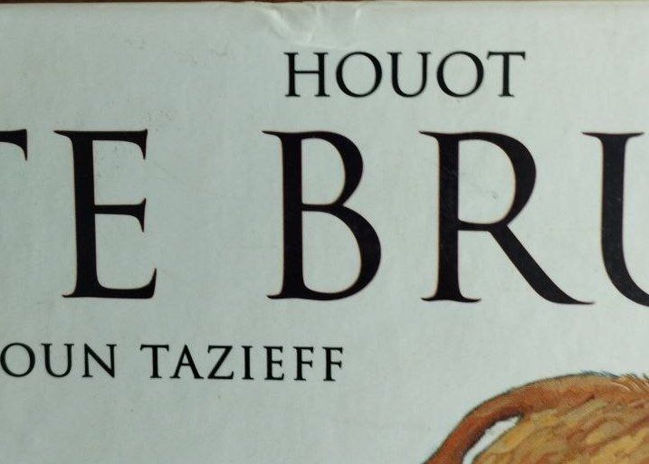 Fumetti: TETE BRULEE de Houot – Usato da Eglisau venduto da bla_sv7q 3