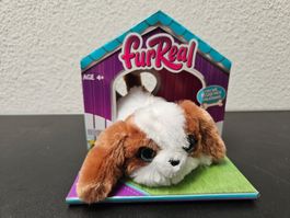 Neu - Fur Real - Mini Hund
