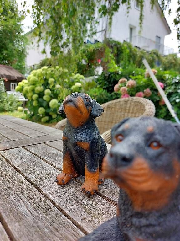Alle Dekorationen: Hunde für Deko – Gebraucht aus Weinfelden von Mustang422 1