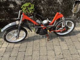 Mofa Pony 503 GTS mit Ausweis
