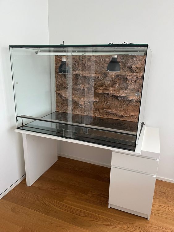 Terrarium 120x80x40 (BxHxT) inklusive selling Zubehör