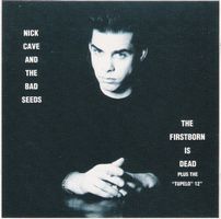 CD Nick Cave & Bad Seeds - The firstborn is dead (1985)