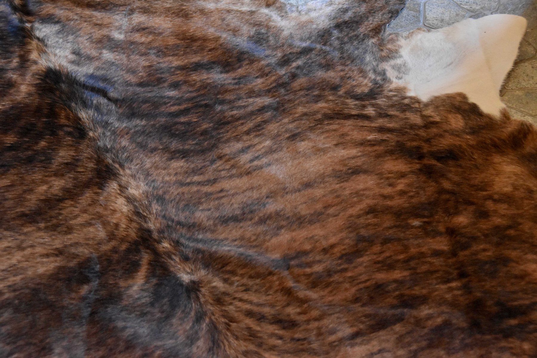 Il mondo degli animali: Peau de vache Ethno – Usato da Vaulion venduto da sambigben 2