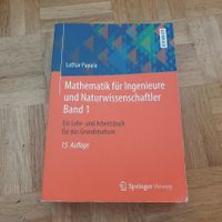 Mathematik für Ingenieure und Naturwissenschaftler Band 1