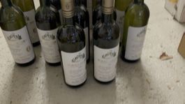 Giacosa Roero Arneis 1996– 12er Lot – gereifte Weißwein‑Rar