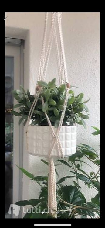 Makramee / Makrame Ampel mit Topf / ohne Pflanze Kaufen auf Ricardo