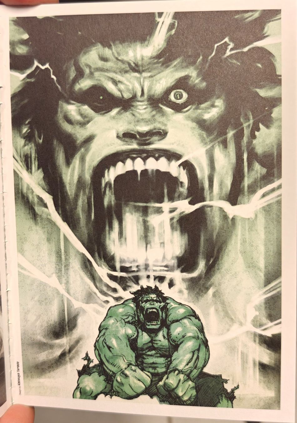 Comics: HULK-Hulkification Comic/Artbook 2003 – Neu (gemäss Beschreibung) aus Gutenswil von Vulcano21 6