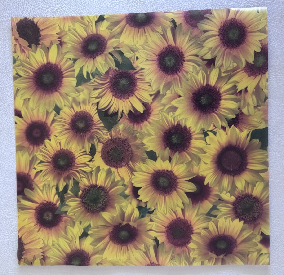 Carta: URSUS Transparentpapier " Flora Sonnenblumen", 5 Blatt – Nuovo e nell'imballaggio originale da Rüfenacht BE venduto da Sodeli03 3