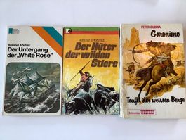 3 Jugendbücher