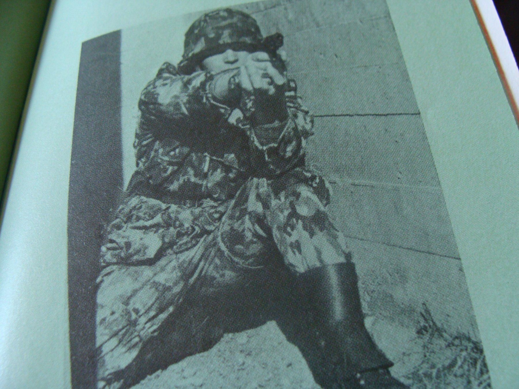 Schweizer Armee Armi bianche: Militaire, règlement les pistolets – Nuovo e nell'imballaggio originale da Cuarny venduto da hen_g7hn 4