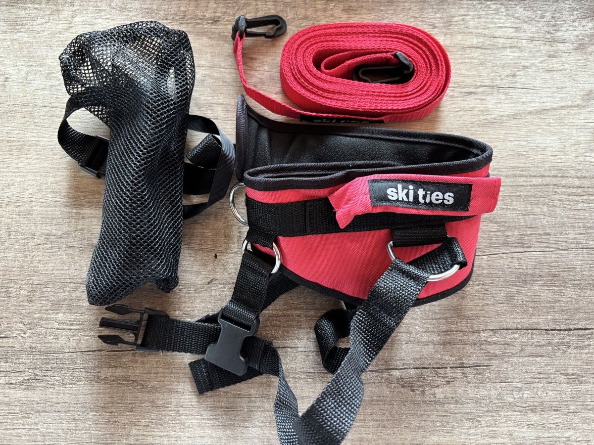 Altro per sci: Ski Ties, Kinder Haltegurt – Nuovo (secondo la descrizione) da Kappel SO venduto da Fabruzzi 1