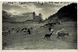Lenz mit schafherde 1927