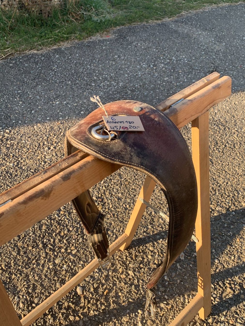 Selle & Accessori: Sangle Antarès – Usato da Lamboing venduto da pet_djp8 2
